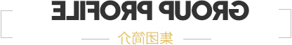  团体简介